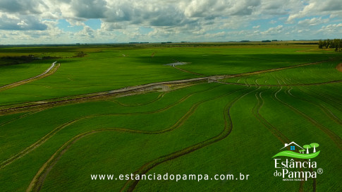 DOS EÓLICOS VIRA P FAZENDA_Moment.00_05_42_14.Quadro229_3fd282a6e86733fb5369c7a91188a9430f3037ff.jpg